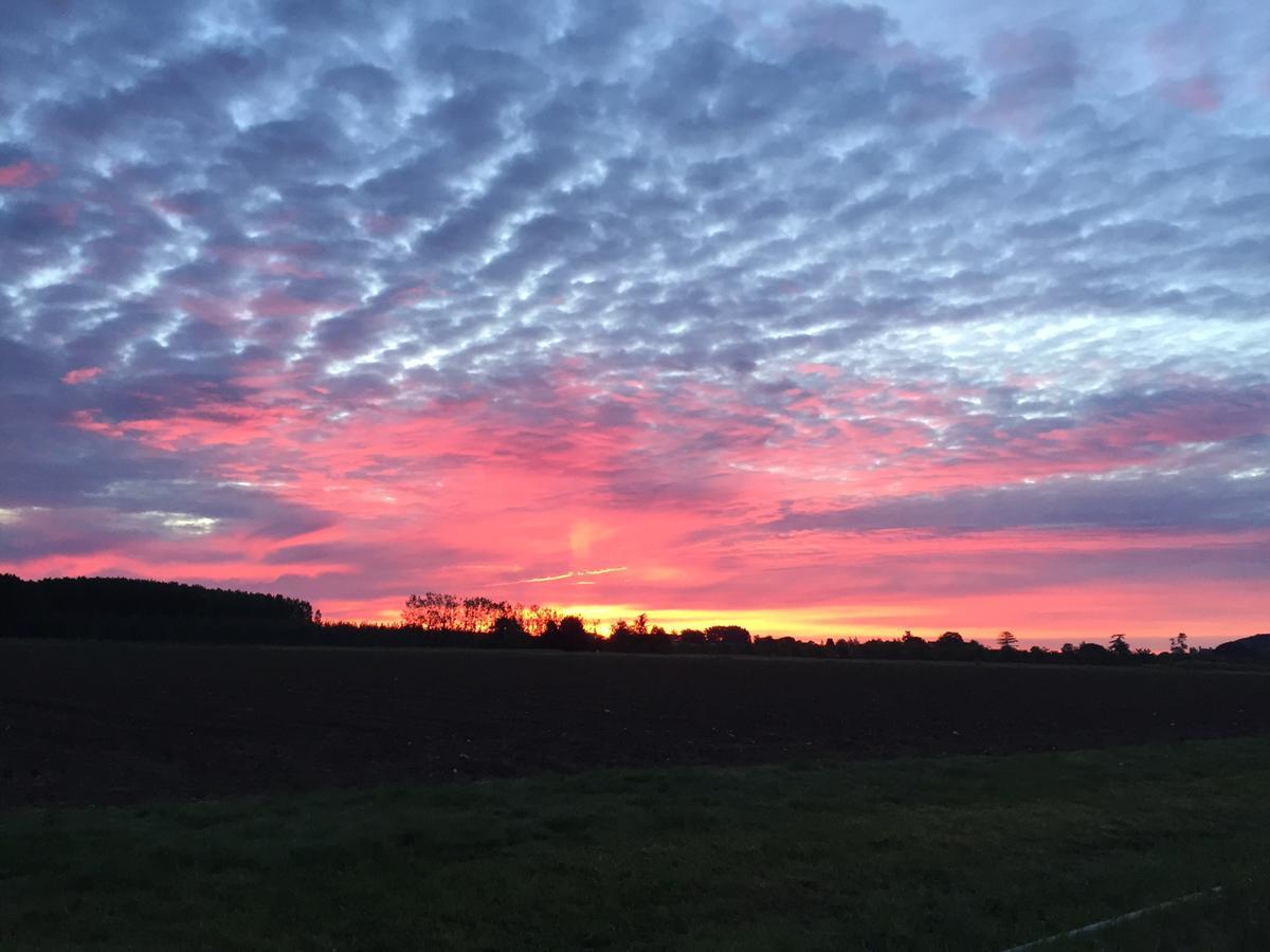 La Girarde Bed & Breakfast Saint-Quentin-de-Caplong Bagian luar foto
